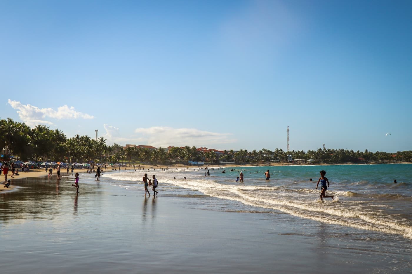 A kitesurfer on flat turquoise water off a palm-lined Caribbean beach