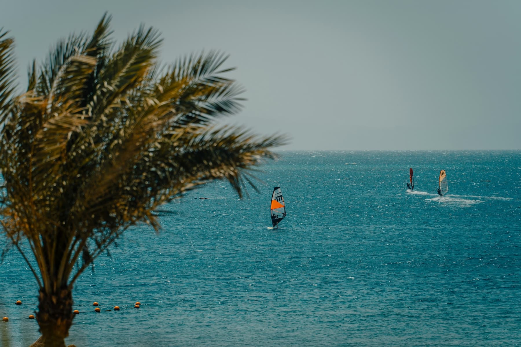 A windsurfer planing across a flat turquoise Red Sea lagoon with desert mountains behind