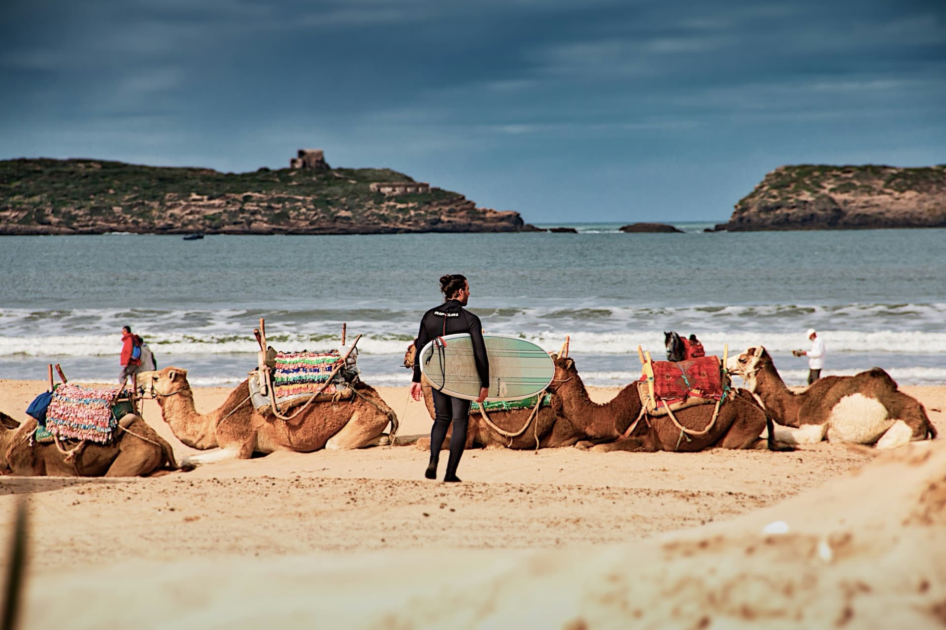 A surfer carrying a board past a line of camels on the beach at Essaouira, Morocco, the island fort beyond