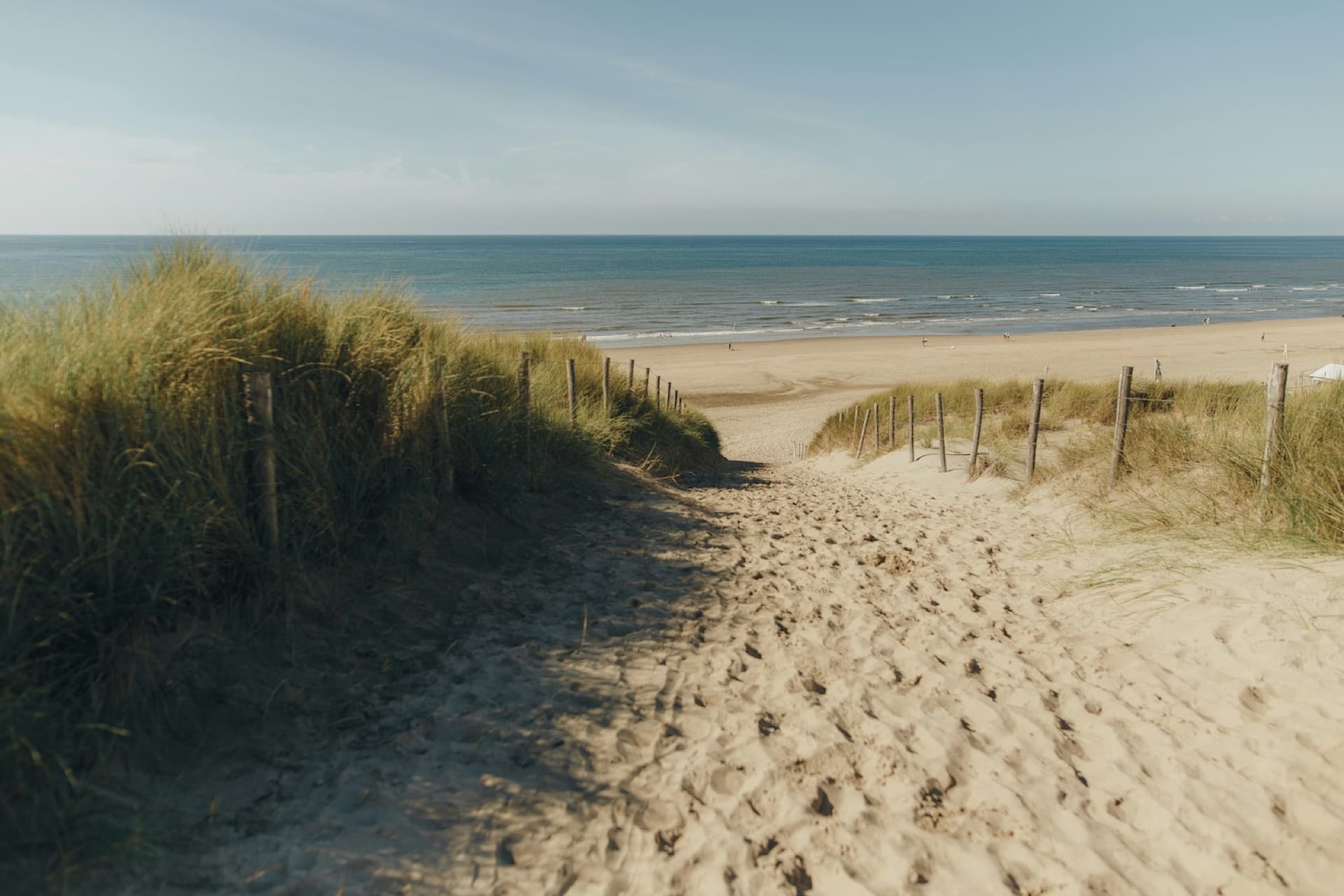 A sandy path through marram-grass dunes leading down to the North Sea beach