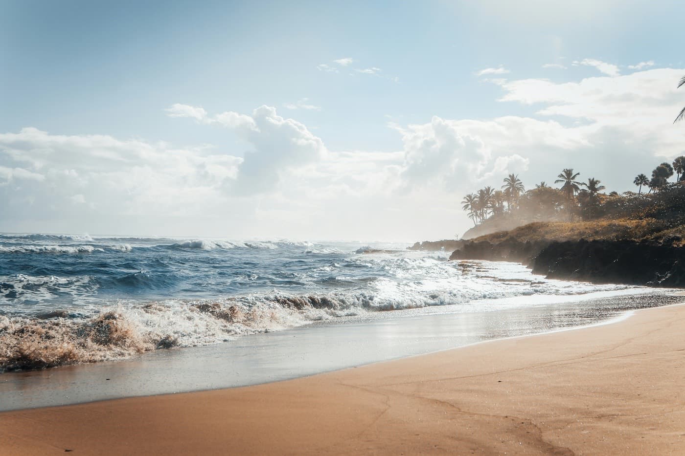Waves breaking onto a palm-backed sandy beach on the north coast of the Dominican Republic at Cabarete