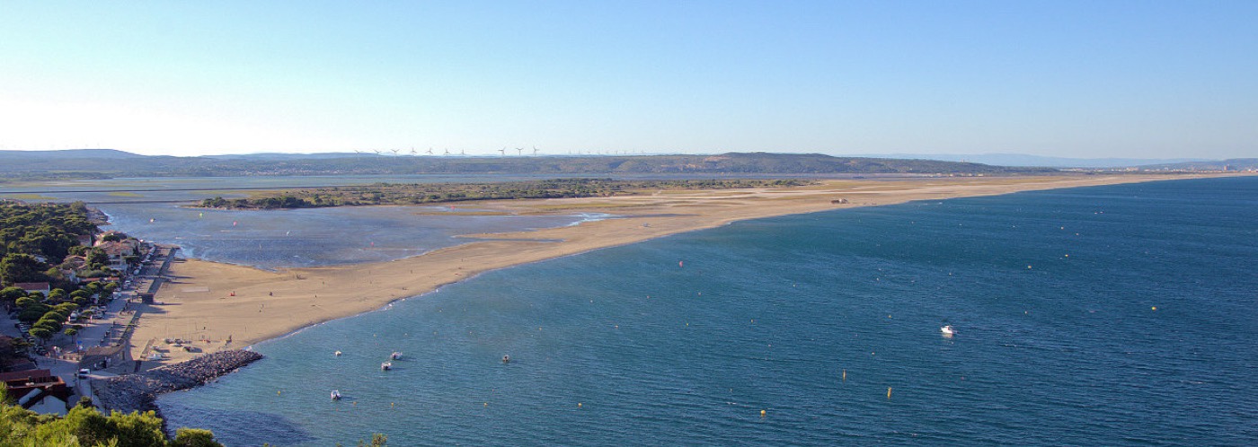 Leucate
