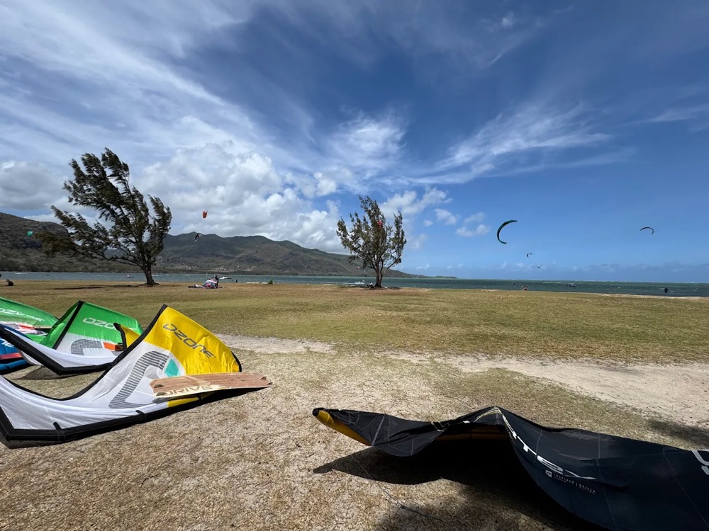 Son of Kite