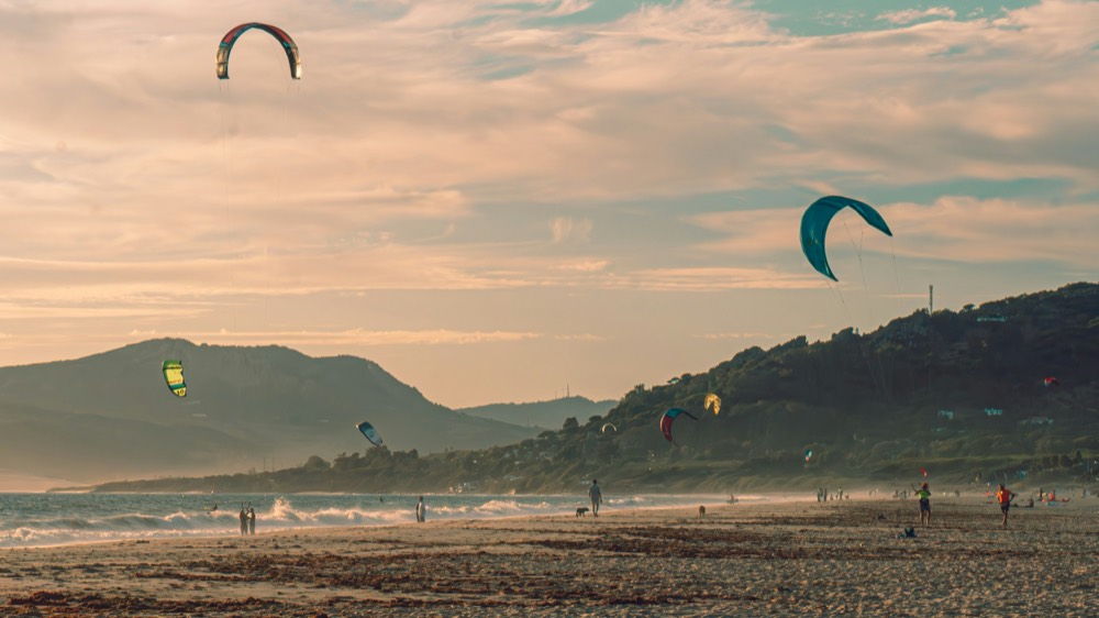 Alex Pastor Kite Club
